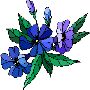 Beautiful Flowers Clipart 13