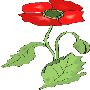 Beautiful Flowers Clipart 18
