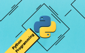 Python Programming